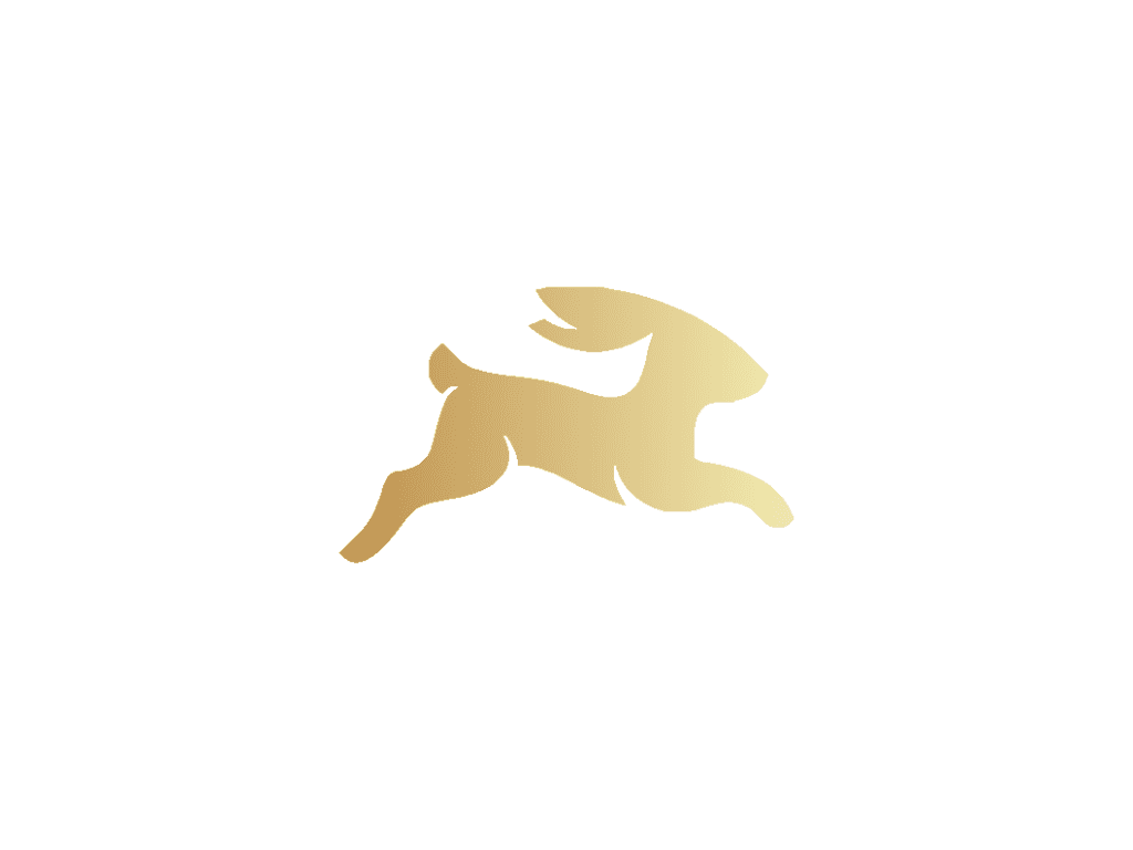 ogamacheDev Logo